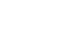 Bigdomain white logo
