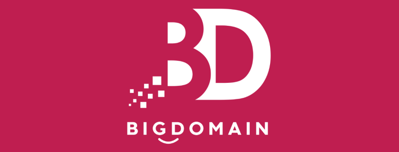 BigDomain logo