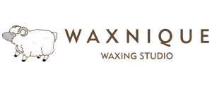 Waxnique Logo Bigdomain.my Malaysia Domain &Amp; Hosting