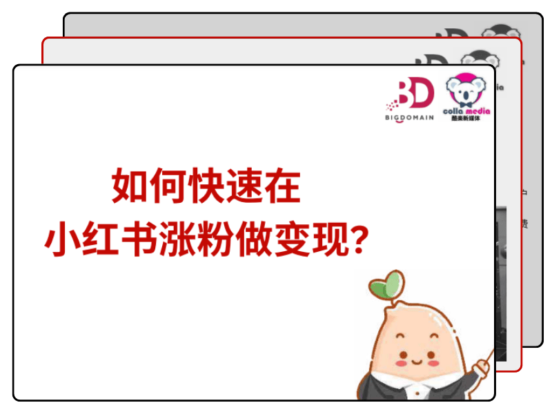 Exclusive Handbook Bigdomain.my Malaysia Domain &Amp; Hosting